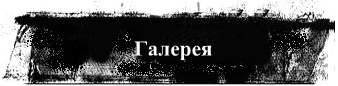 Галерея